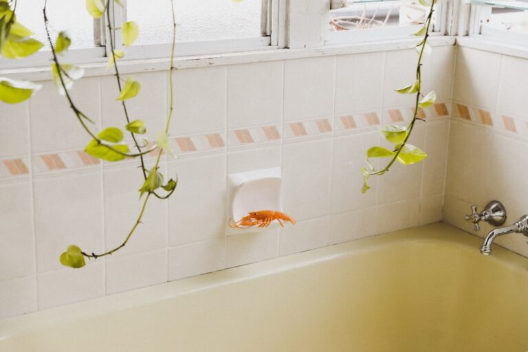A bathtub with hanging plants and a soap dish.