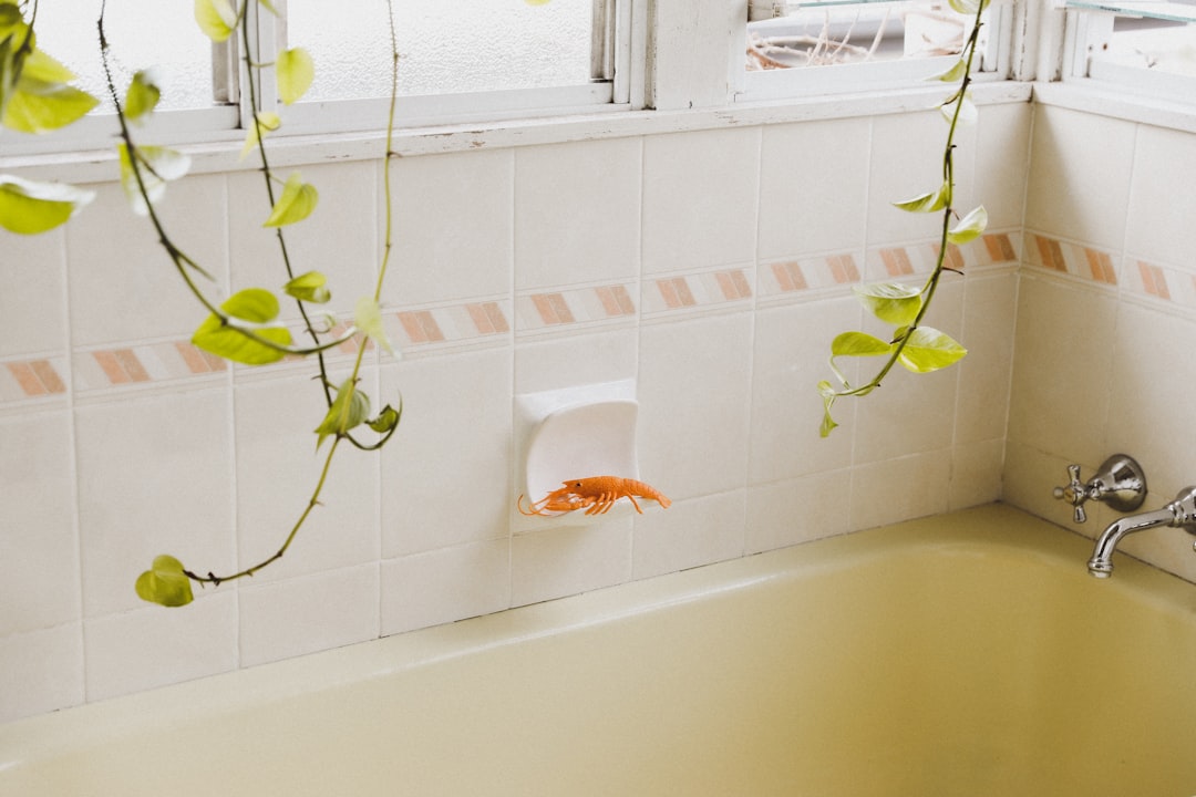 A bathtub with hanging plants and a soap dish.